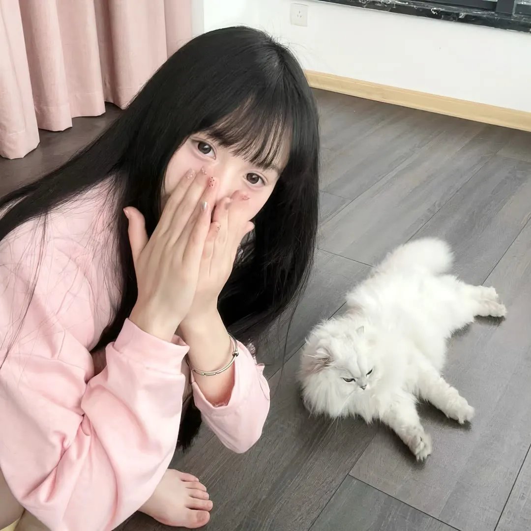风愿